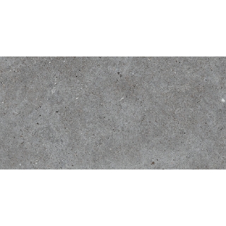 Picture of Roca - Stone Basel 24 x 48 Grafito