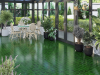Picture of MiR Mosaic - Moorish Verde Star