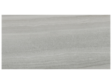 Picture of Casabella - Davenport 12 x 24 Earth