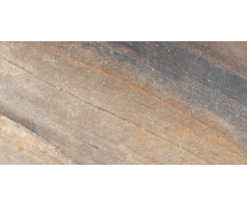 Picture of Casabella - Evolution 12 x 24 Earth