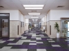 Picture of Six Degrees - Compass 12 x 24 Baton Rouge