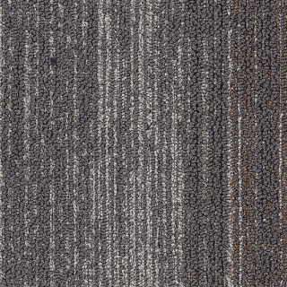 Picture of Patcraft - Color Filter 9 x 36 Hint