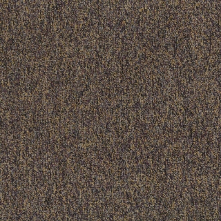 Picture of Patcraft - Homeroom V3 Varsity