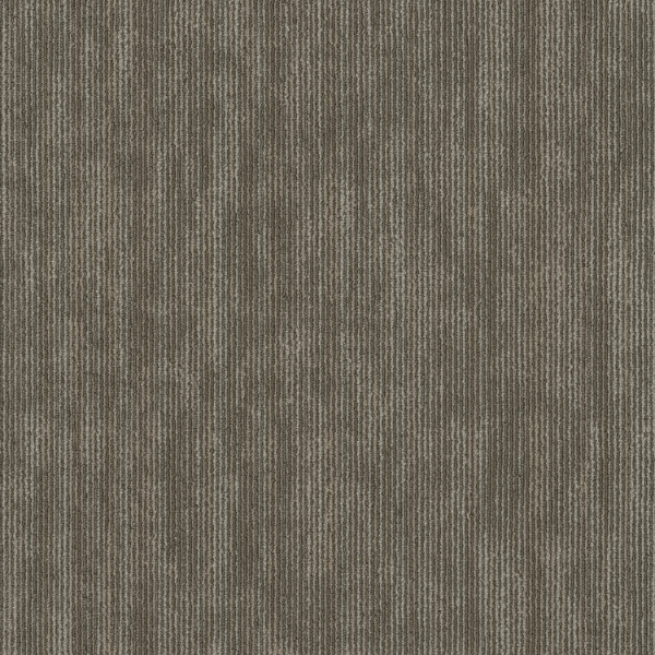 Picture of Patcraft - Perspective Vantage