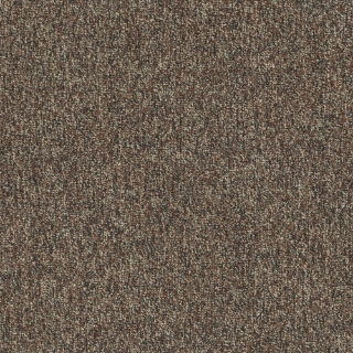 Picture of Patcraft - Homeroom V3 Textbook