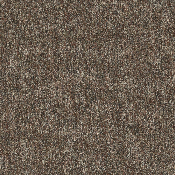 Picture of Patcraft - Homeroom V3 Textbook
