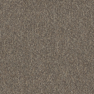 Picture of Patcraft - Homeroom V3 Final Exam
