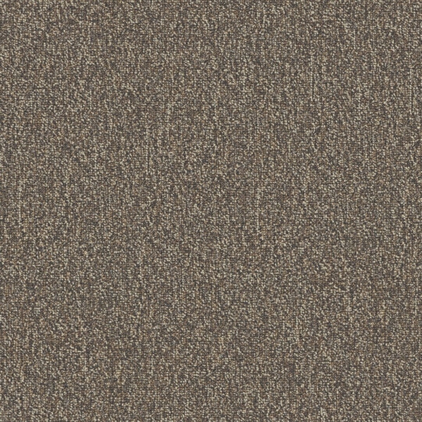 Picture of Patcraft - Homeroom V3 Final Exam
