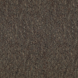 Picture of Patcraft - Scholastic II Student Loans