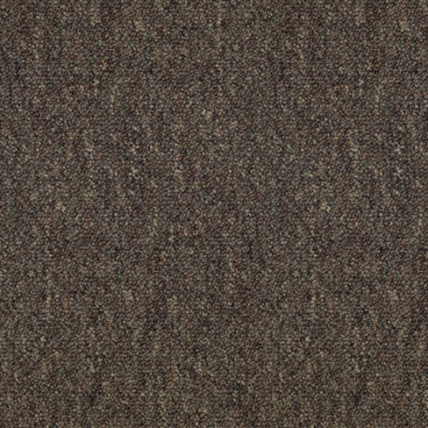 Picture of Patcraft - Scholastic II Student Loans