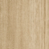 Picture of Patcraft - Timber Grove II 12MIL Sprout-V2