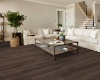 Picture of Shaw Floors - Titan HD Plus Pandora Oak