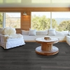 Picture of Shaw Floors - Resolute 7 Plus Whitefill Oak