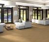 Picture of Philadelphia Commercial by Shaw - Bosk Pro 4 Maple Select