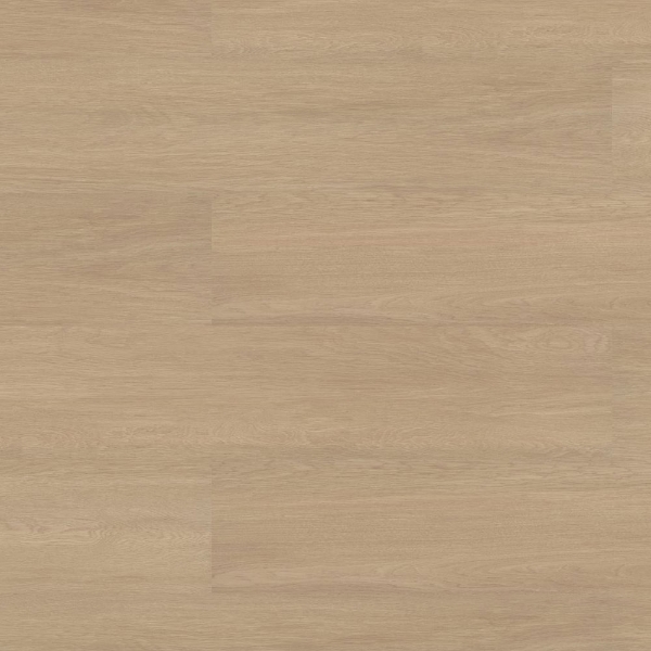 Picture of Patcraft - Enrich Plank Motivate-V2