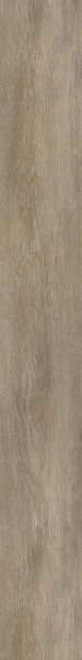 Picture of Patcraft - Highland Forest Ashwood