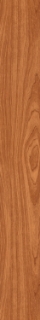 Picture of Patcraft - Highland Forest Brazilian Cherry