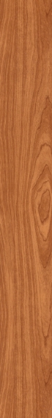 Picture of Patcraft - Highland Forest Brazilian Cherry