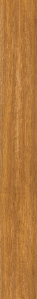 Picture of Patcraft - Highland Forest Natural