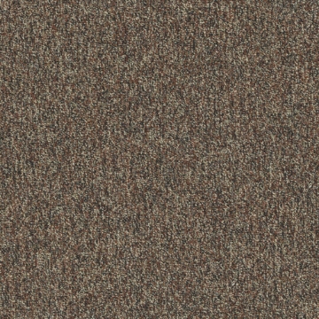 Picture of Patcraft - Homeroom V3 Textbook