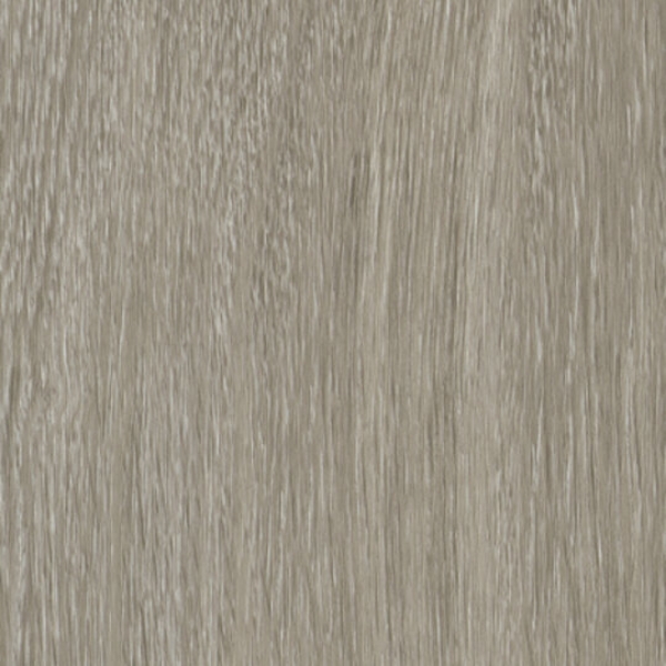 Picture of Patcraft - Homegrain 20 Gallery V2