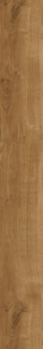 Picture of Patcraft - Highland Forest Sandy Oak