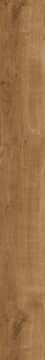 Picture of Patcraft - Highland Forest Sandy Oak