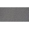 Picture of Milestone - Urban Living 12 x 24 Raw Titanium