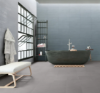 Picture of Milestone - Urban Living 12 x 24 Raw Mist Grey