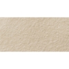 Picture of Milestone - Urban Living 12 x 24 Raw Sand