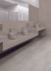 Picture of Milestone - Basaltine 24 x 48 8mm Light Grey