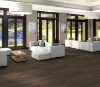 Picture of Philadelphia Commercial by Shaw - Sustain 20 Burlwood