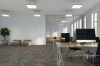 Picture of Pentz - Amplify Plank Sunburst