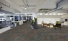 Picture of Pentz - Amplify Plank Sunburst