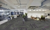 Picture of Pentz - Amplify Plank Royal Purple