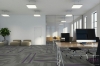 Picture of Pentz - Amplify Plank Royal Purple