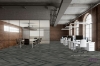 Picture of Pentz - Amplify Plank Ocean Tropic