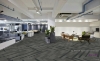 Picture of Pentz - Amplify Plank Ocean Tropic