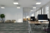 Picture of Pentz - Amplify Tile Ocean Tropic