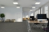 Picture of Pentz - Bespoke Plank Tailored