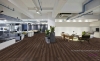 Picture of Pentz - Boulevard Rustic Lodge