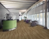 Picture of Pentz - Boulevard Plus Coral Coast