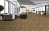 Picture of Pentz - Boulevard Plus Coral Coast