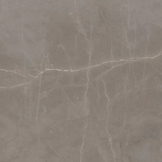 Picture of Milestone - Luxury 24 x 24 Matte 8mm Amani Grey