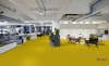 Picture of Pentz - Colorburst Plank Cyber
