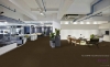 Picture of Pentz - Colorpoint Tile Hickory