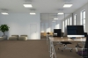 Picture of Pentz - Colorpoint Tile Granola