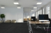Picture of Pentz - Echo Tile Ocean Tropic