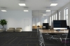 Picture of Pentz - Echo Tile Cyber