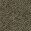 Picture of Pentz - Homepage Tile Cookies